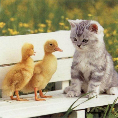 Timeline: My Reading Log