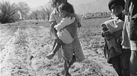 Timeline: Un camino difícil- Julia Miller