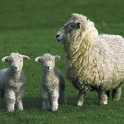 Timeline: MY READING LOG 2012