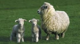 Timeline: MY READING LOG 2012