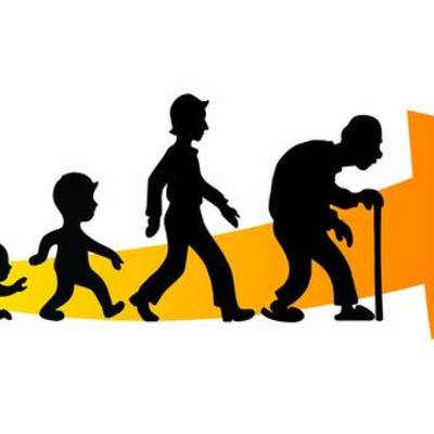 Timeline: La meva vida