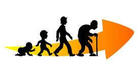 Timeline: La meva vida