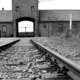 Auschwitz