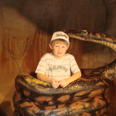 Timeline: NATHAN'S TIMELINE