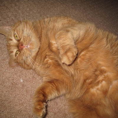 Timeline: Floyd's Life