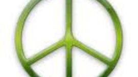 Timeline: Sarah's timeline