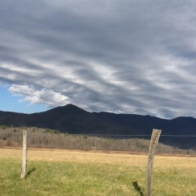 Timeline: My Life at a Glance by Evan Bailey