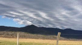 Timeline: My Life at a Glance by Evan Bailey