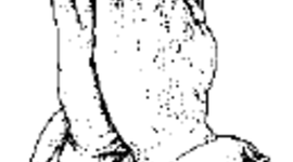 Timeline: Robyn Coates