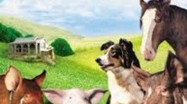 Timeline: Animal Farms