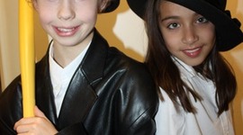 Timeline: butterfly life cycle