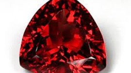 Timeline: janunary 21 2000