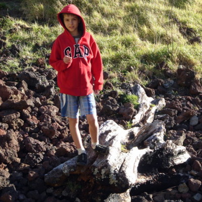 Timeline: timeline of miguel's life