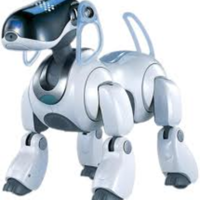 Timeline: Australian Prime minister