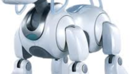 Timeline: Australian Prime minister