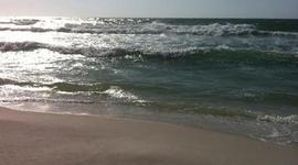 Timeline: Family Birthdays