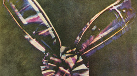 Timeline: History  of photography