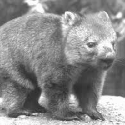 Timeline: April 20th