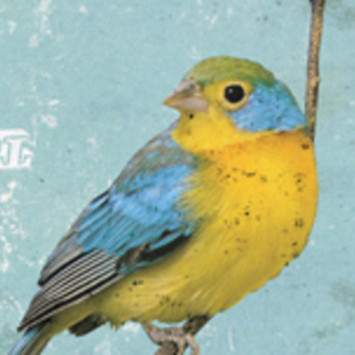 Timeline: My Website