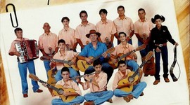 Timeline: Leonardo Araújo