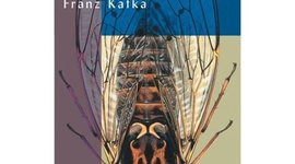 Timeline: La Metamorfosis