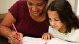 Timeline: Week of November 16th