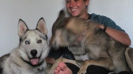 Timeline: September 27, 2009 to October 3, 2009