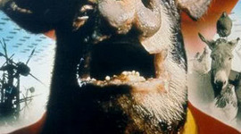 Timeline: Russian Revolution VS. Animal Farm