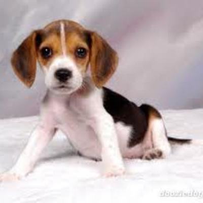 Timeline: Emily Vierling's events on my Birthday :D