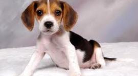 Timeline: Emily Vierling's events on my Birthday :D