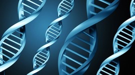 Timeline: Important Scientists in the History of DNA