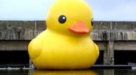 Timeline: Tyler's Civil Rights Timeline