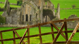 Timeline: Den Irske historie