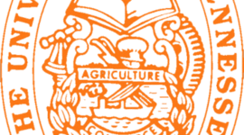 Timeline: My Journey Thru UT