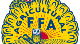 Timeline: History of FFA