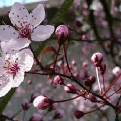 Timeline: April 12th