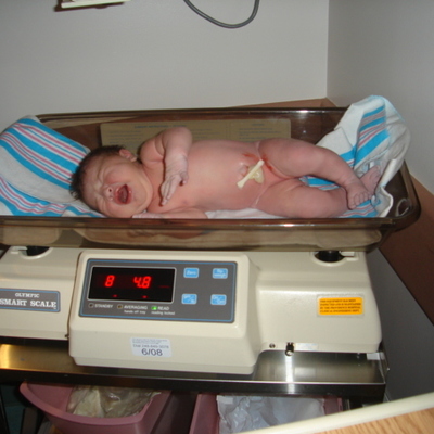 Timeline: Alexis Cheyenne Morrison