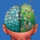 Ff 70 brain1 f
