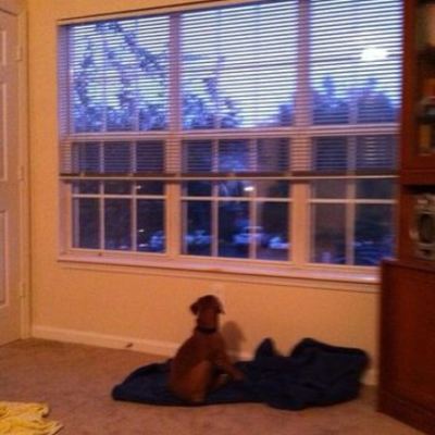 Timeline: Tank's First Six Months