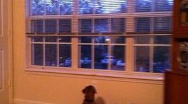 Timeline: Tank's First Six Months