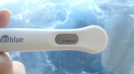 Timeline: Pregnancy Timeline