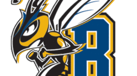 Timeline: cadremarch3