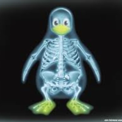 Timeline: CODIGO LINUX