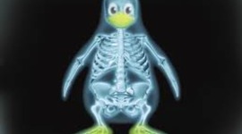 Timeline: CODIGO LINUX