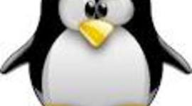 Timeline: SOFTWARE LIBRE