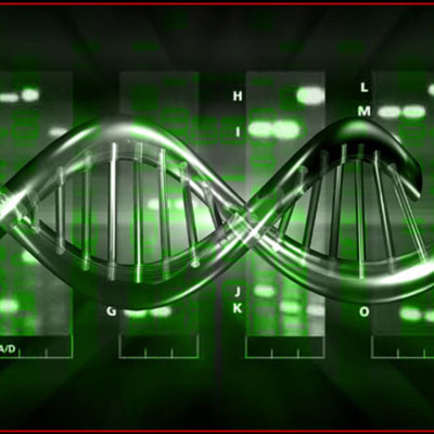 Timeline: Historia Del Adn