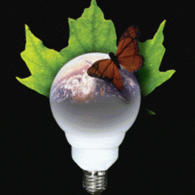 Timeline: Energy Timeline