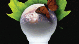 Timeline: Energy Timeline