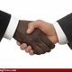 Black white handshake 33605