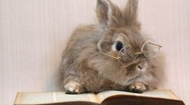 Timeline: Theatre History II Midterm (parts 1 and 2)